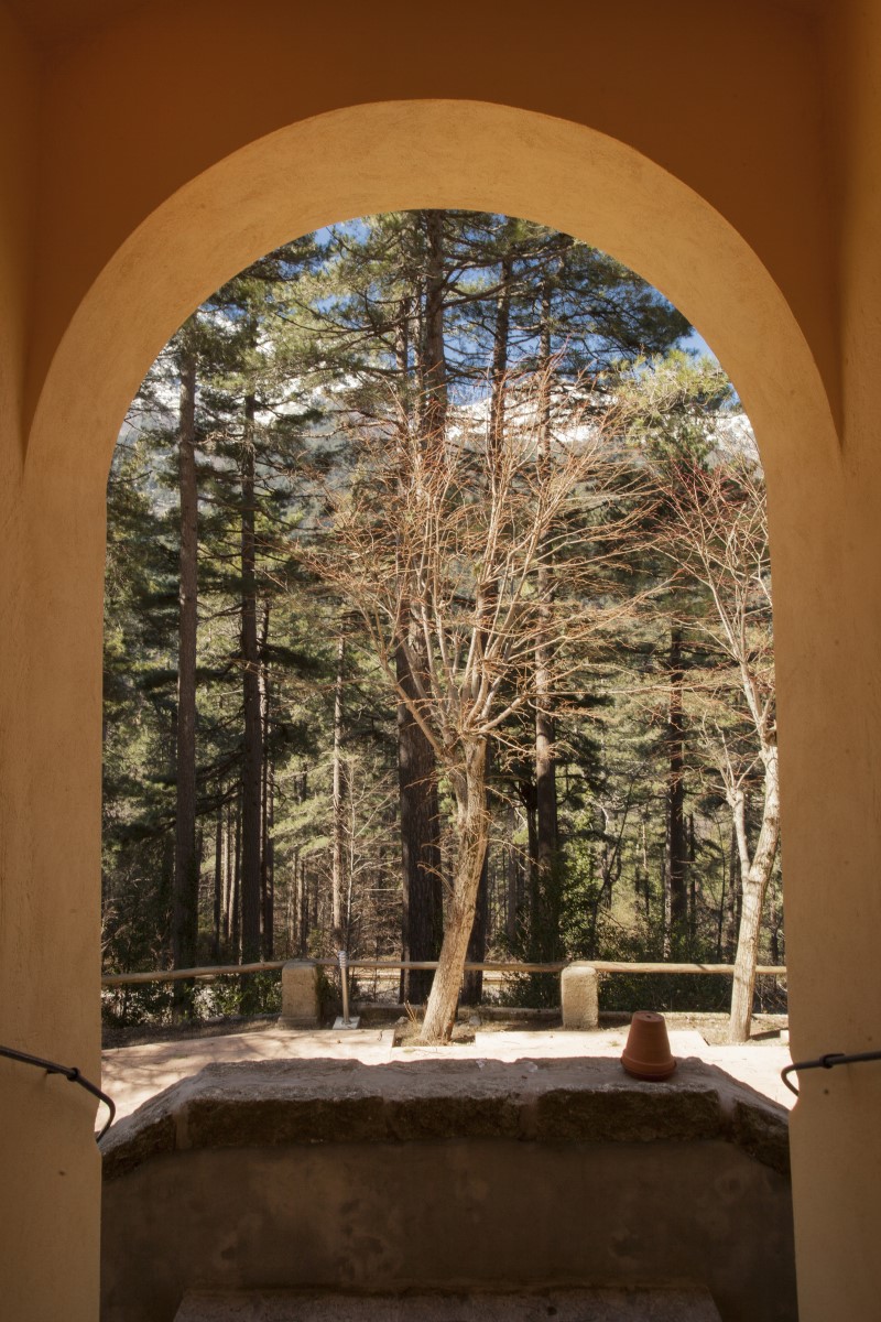 The Monte d'Oro and linden trees in front of the main door